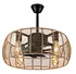 ceiling fans with cages